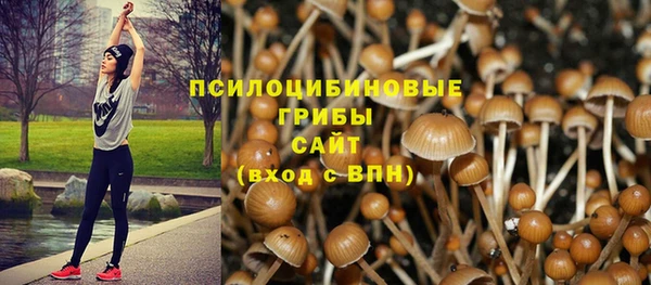 кокс Вяземский