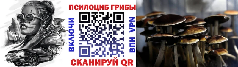 shop официальный сайт  где купить наркоту  Чебоксары  Псилоцибиновые грибы прущие грибы 